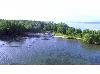 Beach Lot for Sale in Bush Island, Puerto Princesa